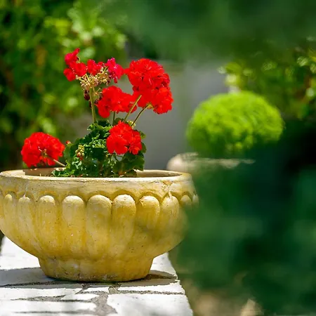 Ionian * Áyios Nikítas